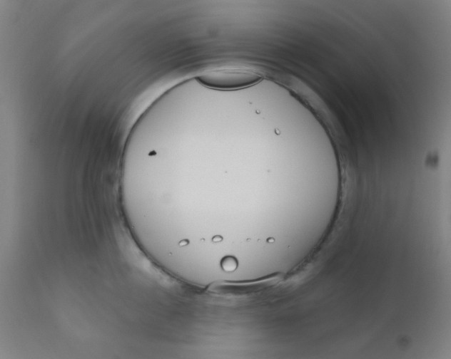 X0000110720860200907022044