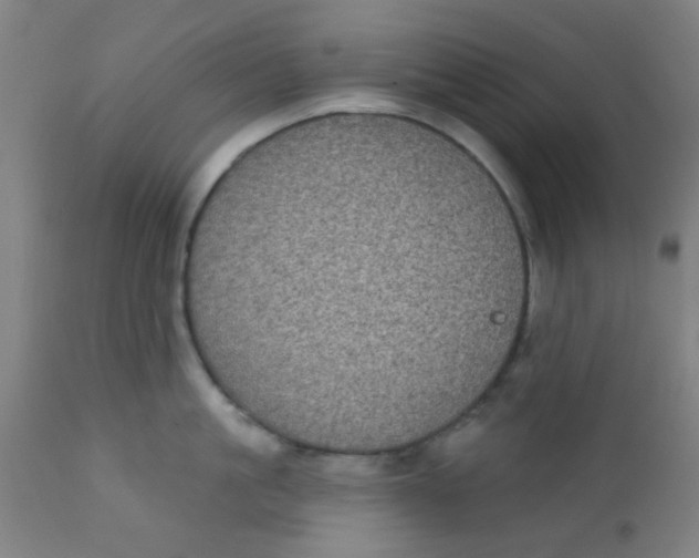 X0000110720861200907022044