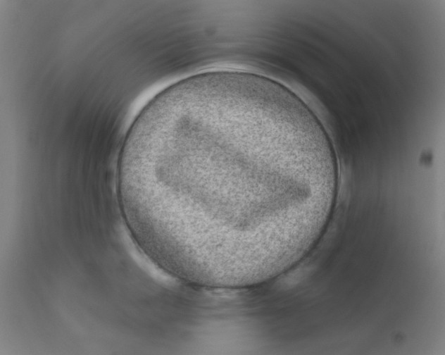 X0000110720862200907022044