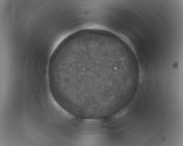 X0000110720863200907022044