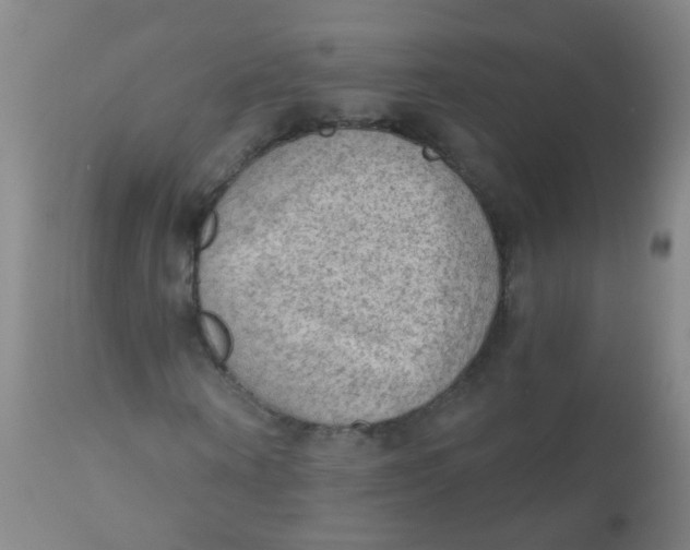 X0000110720866200907022044