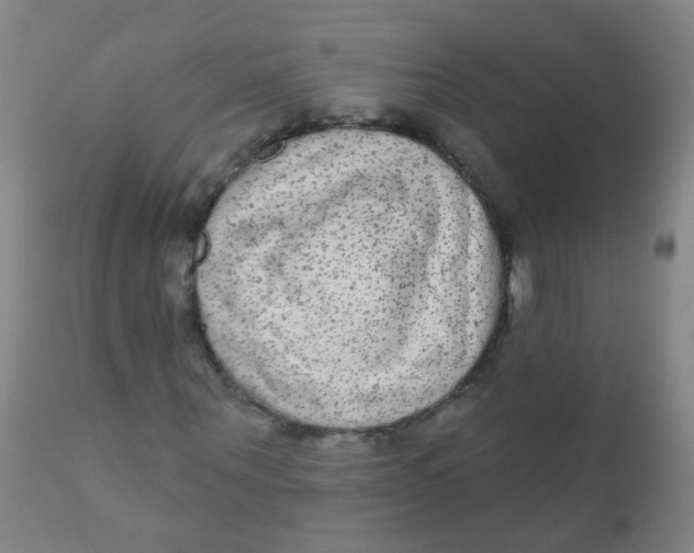 X0000110720867200907022043