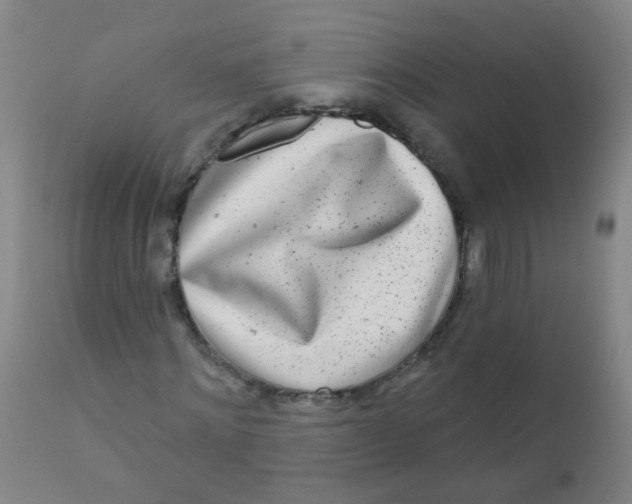 X0000110720868200907022043