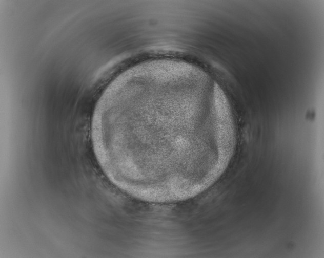 X0000110720870200907022043