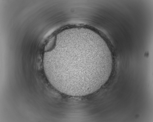 X0000110720871200907022043