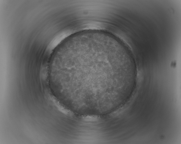 X0000110720874200907022043