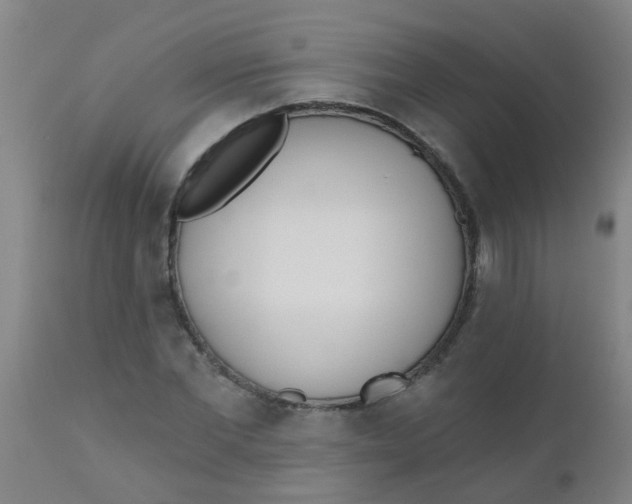 X0000110720877200907022043