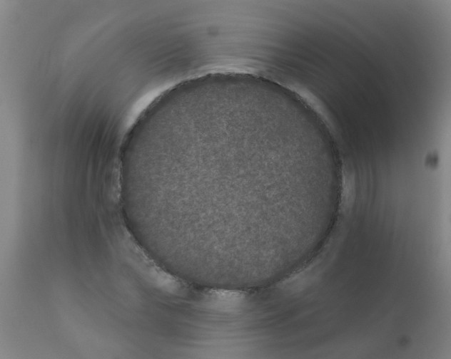 X0000110720878200907022043