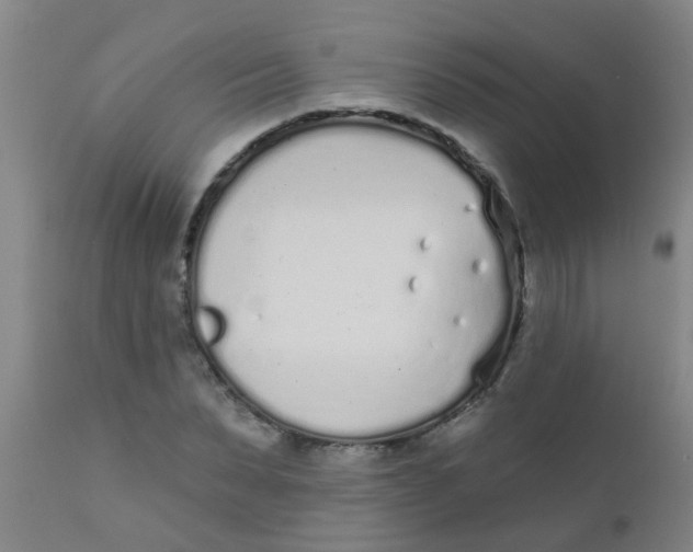 X0000110720879200907022043