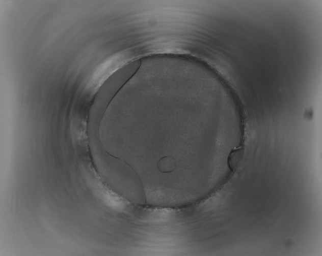 X0000110720881200907022043