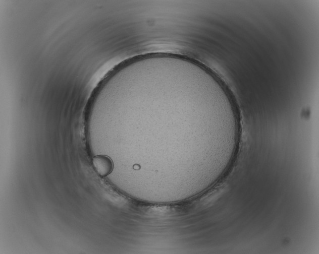 X0000110720883200907022043