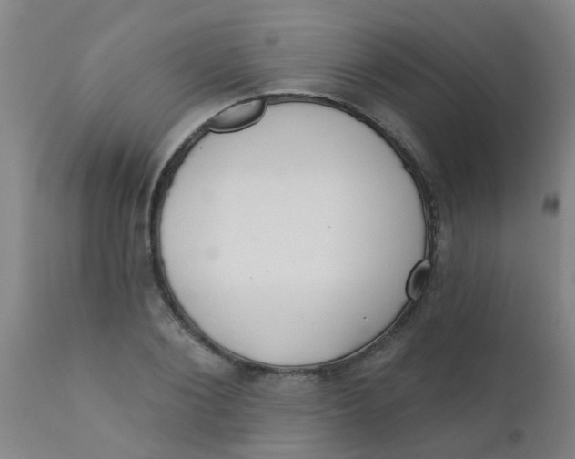 X0000110720884200907022043