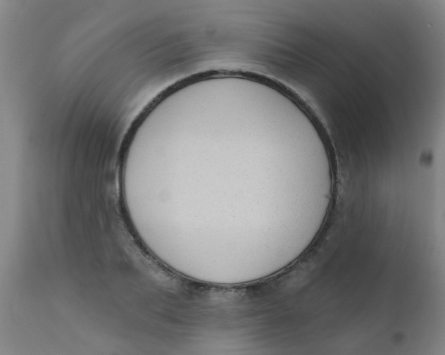 X0000110720887200907022043