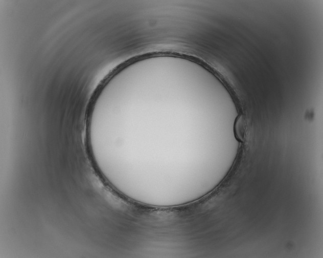 X0000110720888200907022043