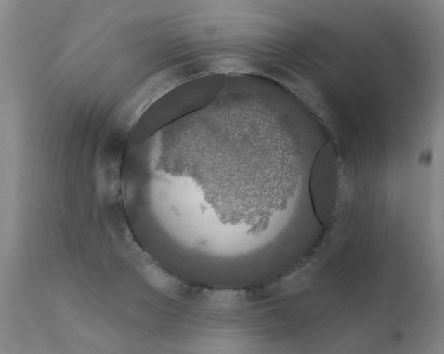 X0000110720889200907022043