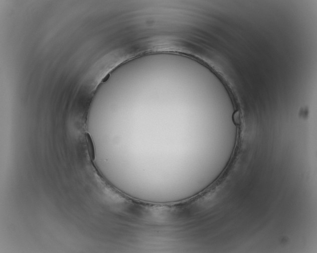 X0000110720897200907022043