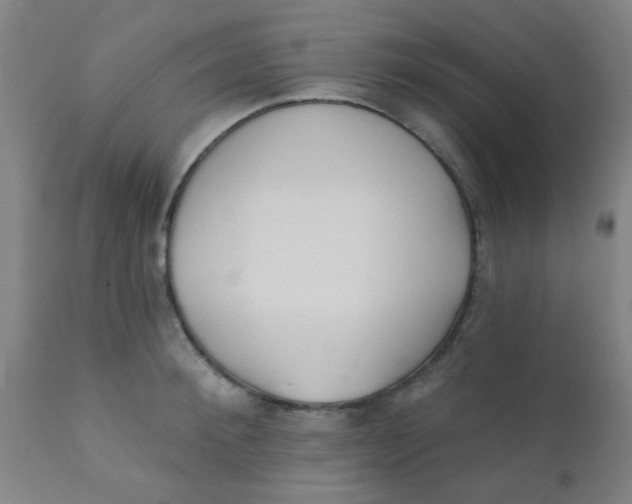 X0000110720900200907022043