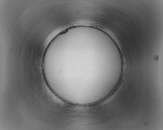 X0000110720901200907022043