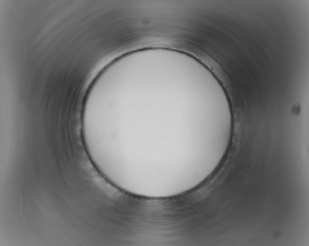 X0000110720904200907022043