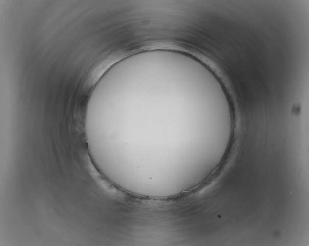 X0000110720905200907022043