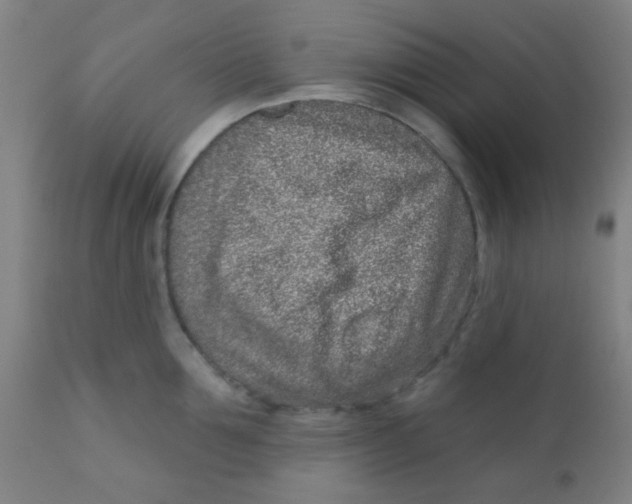 X0000110720907200907022043