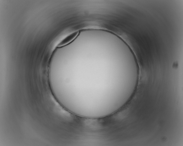 X0000110720909200907022043