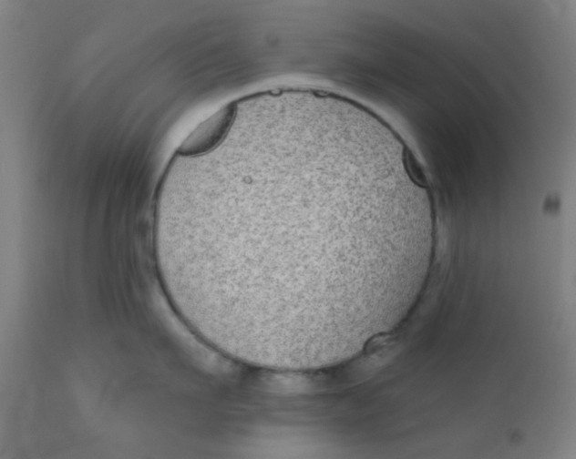 X0000110720911200907022043