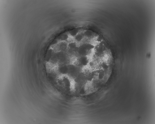 X0000110720913200907022042