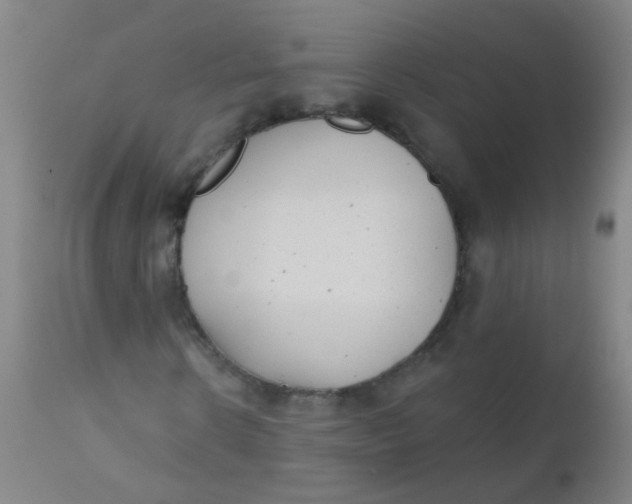 X0000110720914200907022042