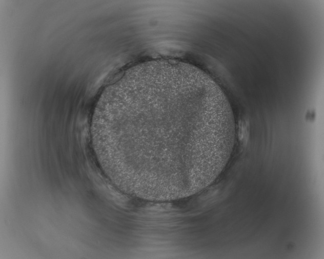 X0000110720915200907022042