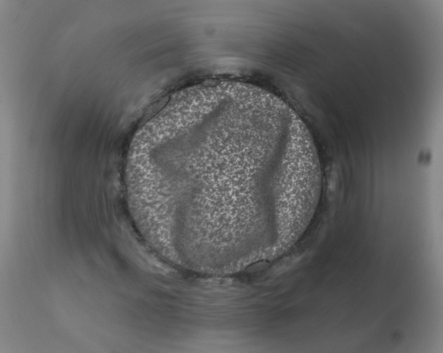 X0000110720916200907022042