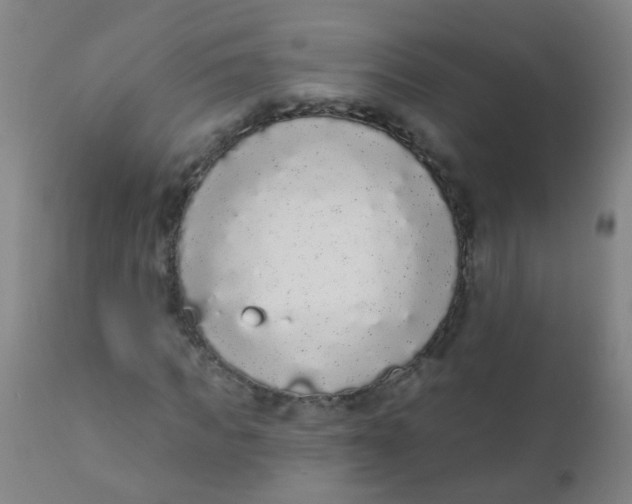 X0000110720917200907022042