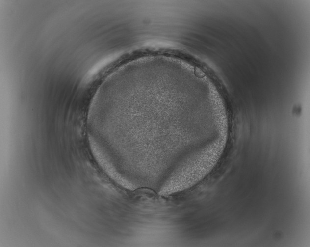 X0000110720919200907022042