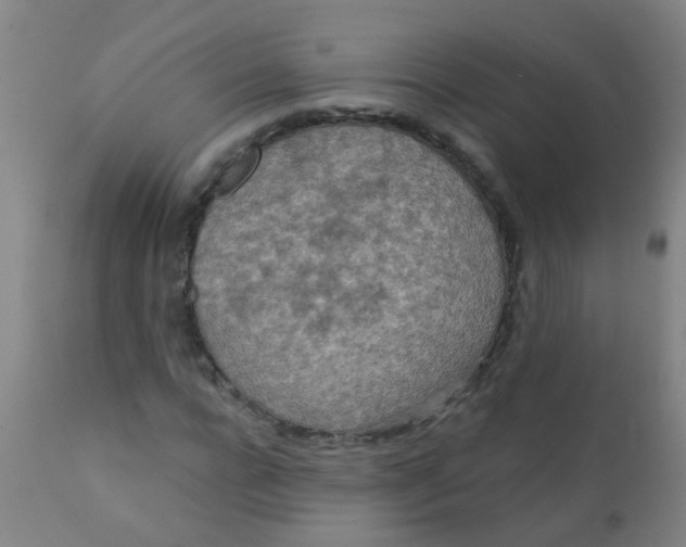 X0000110720920200907022042