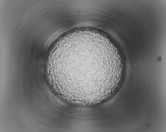 X0000110720921200907022042