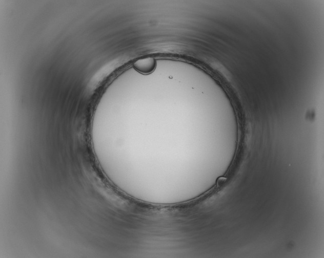 X0000110720922200907022042