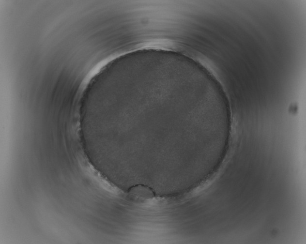 X0000110720923200907022042