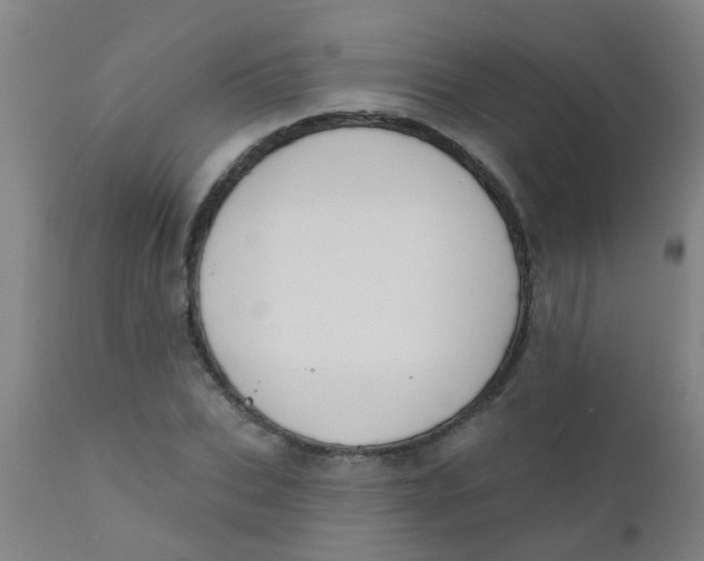 X0000110720927200907022042