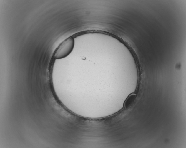 X0000110720928200907022042