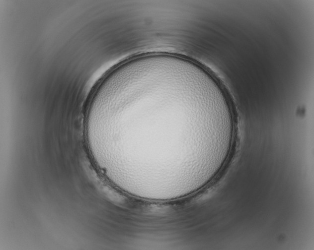 X0000110720933200907022042