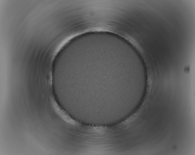 X0000110720934200907022042