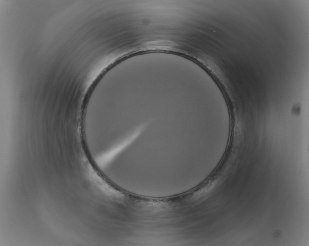 X0000110720941200907022043