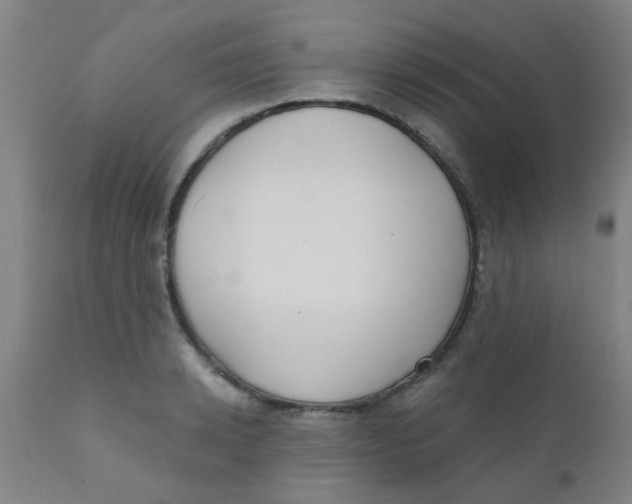 X0000110720942200907022043