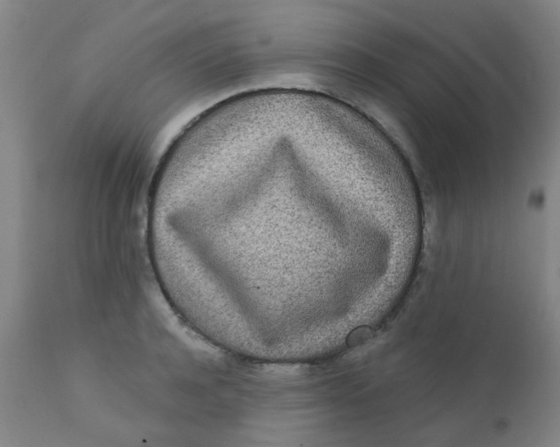 X0000110720944200907022043