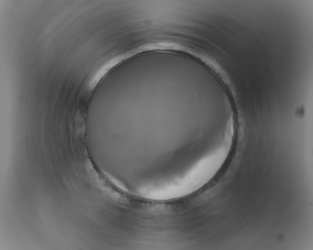 X0000110720945200907022043