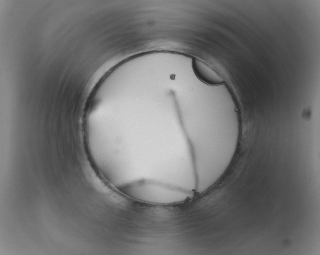 X0000110720947200907022043