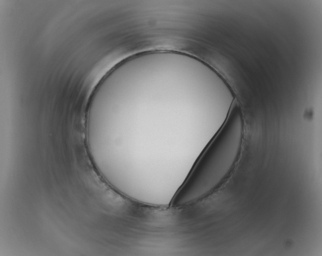 X0000110720948200907022043