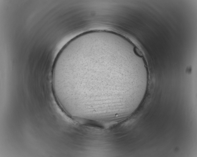 X0000110720951200907022043