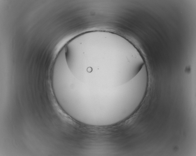 X0000110720952200907022043