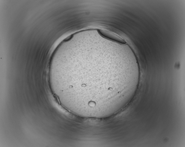 X0000110720955200907022043